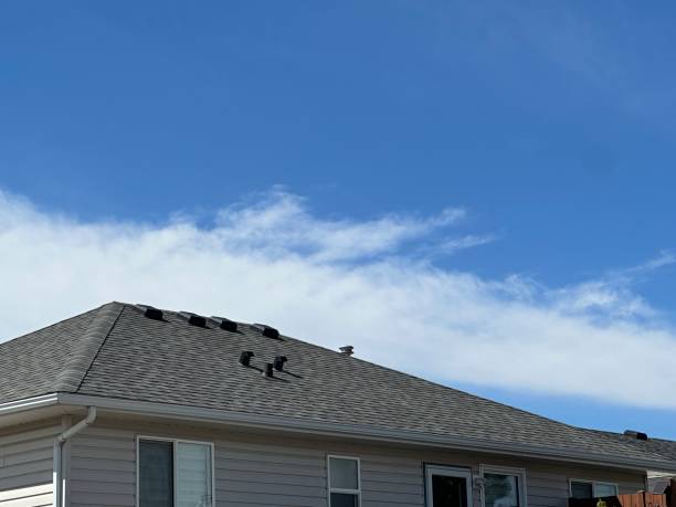 Best Roof Insulation Installation  in Liberty, NC
